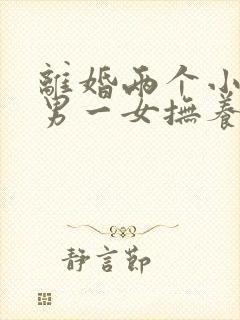 离婚两个小孩一男一女抚养权怎么判定