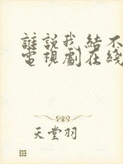 谁说我结不了婚电视剧在线观看