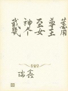 武神至尊叶风有几个女主角