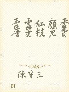 青云红颜香陈言唐曼枝免费阅读笔趣阁