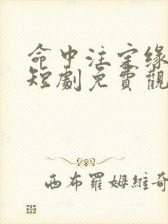 命中注定缘归来短剧免费观看