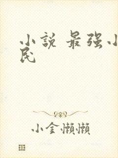 小说 最强小农民