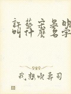 许艺宋晏明小说叫什么名字