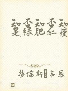 知否知否知否应是绿肥红瘦高清在线观看封面