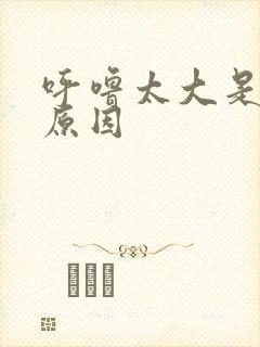 呼噜太大是什么原因