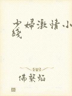 少妇激情小说在线