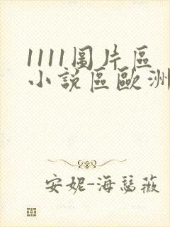 1111图片区小说区欧洲区