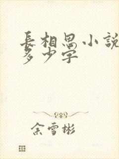 长相思小说原著多少字