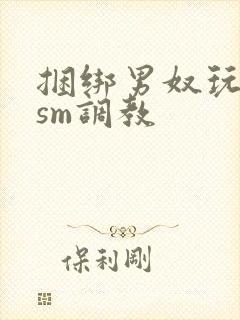 捆绑男奴玩各种sm调教封面