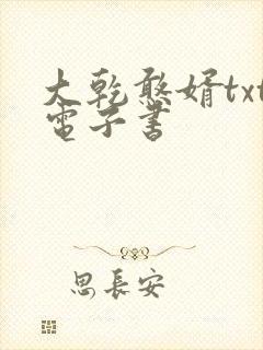 大乾憨婿txt电子书封面