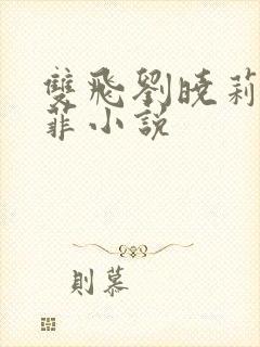 双飞刘晓莉刘亦菲小说