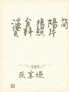 演员杨阳简介和资料照片