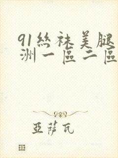 91丝袜美腿亚洲一区二区