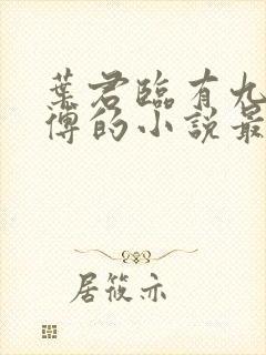 叶君临有九个师傅的小说最新章节