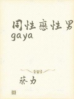 同性恋性男男人gaya