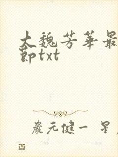 大魏芳华最新章节txt