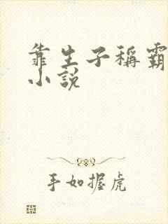 靠生子称霸后宫小说