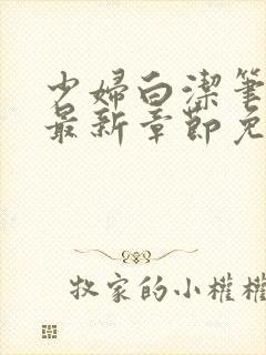 少妇白洁笔趣阁最新章节免费阅读