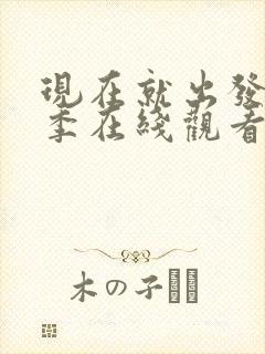 现在就出发第二季在线观看完整版免费高清