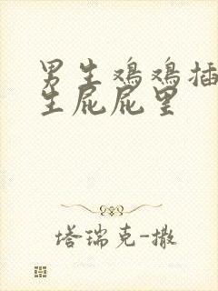 男生鸡鸡插进女生屁屁里封面