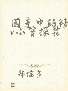 国产中的精品av小宝探花