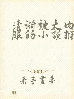 清漪被大肉楱征服的小说推荐