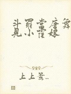 斗罗当唐舞麟遇见小霍娘封面