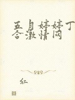 五月婷婷丁香综合激情网