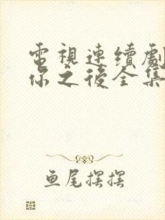 电视连续剧遇见你之后全集免费观看