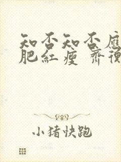 知否知否应是绿肥红瘦 齐衡封面