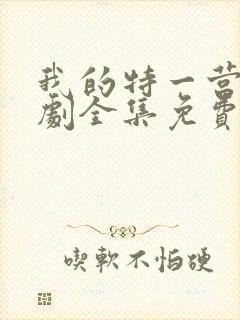 我的特一营电视剧全集免费观看