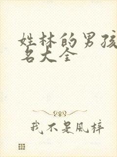 姓林的男孩子起名大全