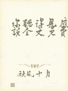 你听得见应橙小说全文免费阅读封面