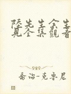 陆先生余生不再见全集观看