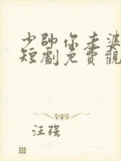 少帅你老婆跑了短剧免费观看全集