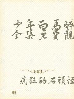 少年白马醉春风全集免费观看在线