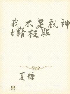 我不是戏神txt精校版