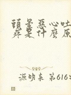 头晕恶心吐肚子疼是什么原因引起的封面