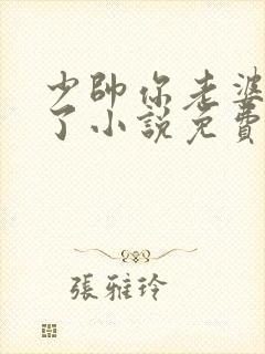 少帅你老婆又跑了小说免费下载封面