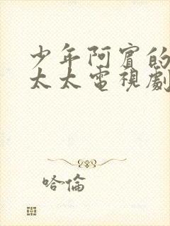 少年阿宾的房东太太电视剧