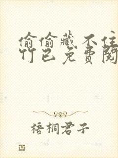 偷偷藏不住by竹已免费阅读