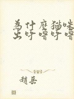 为什么猫咪会发出呼噜呼噜的声音