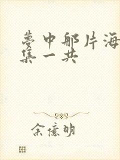 梦中那片海多少集一共