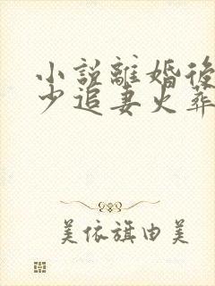 小说离婚后,楚少追妻火葬场了小说