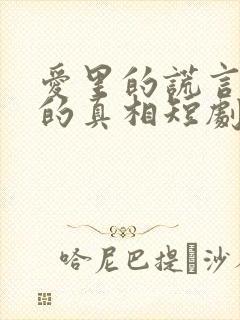 爱里的谎言仇恨的真相短剧