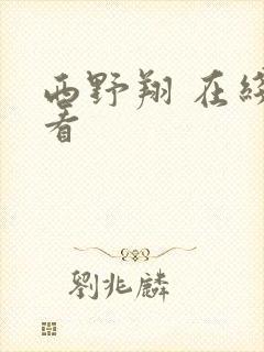 西野翔 在线观看