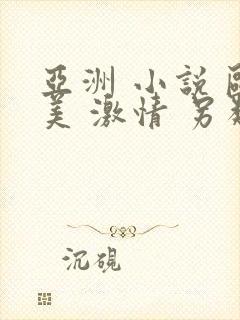 亚洲 小说 欧美 激情 另类封面