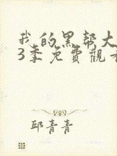 我的黑帮大佬第3季免费观看高清版