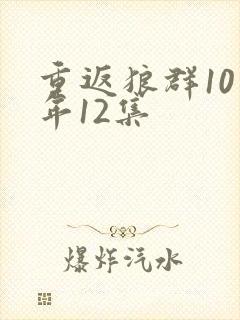 重返狼群10周年12集