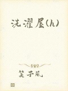 洗濯屋(h)